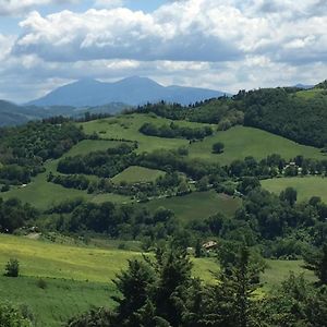 Green B&B Urbino Cá del vento